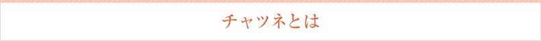 チャツネとは