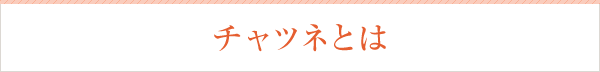 チャツネとは